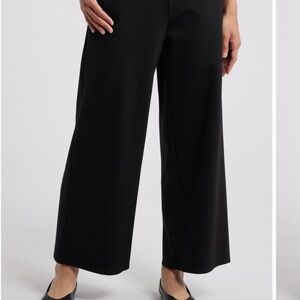 Eileen Fisher Black Wide Ankle Pants